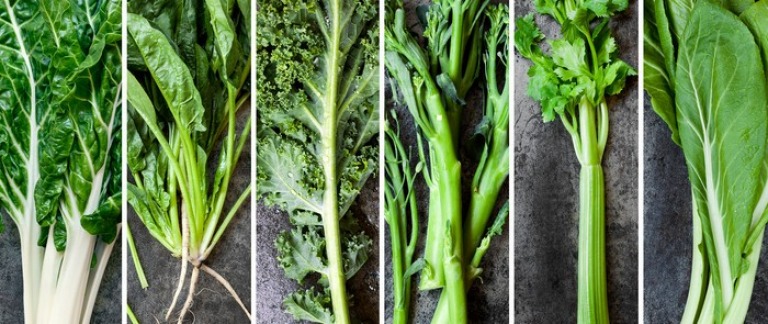 Der Grünkohl kommt - und geht wieder: „In den USA ist ‚Kale‘ das hipste Gemüse der letzten Jahre. Auch bei uns ist der Grünkohl das Blattgemüse der Foodie-Szene. Weil Kohl als gesund gilt – und mit neuen Techniken und kulinarischem Know-how cool inszeniert wird, unter anderem als Kohlchips. Aber weil wir ständig auf der Suche nach neuen Gemüsesorten sind, wird der ‚Kale‘ seinen Trendgemüse-Spitzenplatz wohl bald an andere Sorten abgeben: entweder an das Blattgrün von Wurzelgemüse, an Mangold oder an Asia Greens – intensiv senfig schmeckende Salatsorten.“
